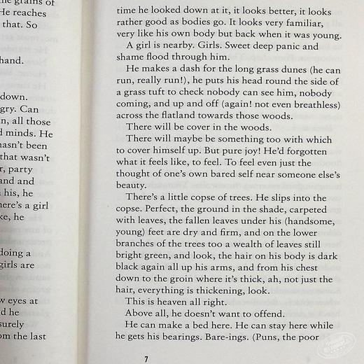 【中商原版】阿莉 史密斯 秋天 季节四部曲 Autumn 英文原版 Ali Smith 商品图5