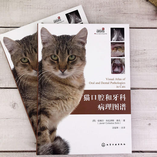 猫口腔和牙科病理图谱 商品图2