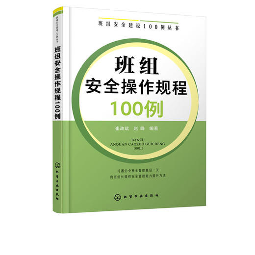 班组安全建设100例丛书 班组安全操作规程100例 班组长管理书籍 商品图4