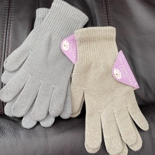 YJJ692  出口荷兰MUJJO触屏手套 商品图7