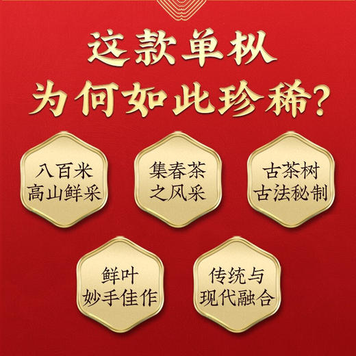 传奇会茶叶 蜜兰香凤凰单枞茶礼盒装 潮州单从茶叶乌岽单丛茶罐装250g 商品图1