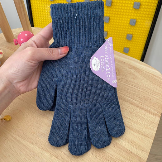 YJJ692  出口荷兰MUJJO触屏手套 商品图4