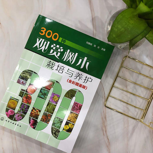 300种观赏树木栽培与养护 全彩图鉴版 商品图3