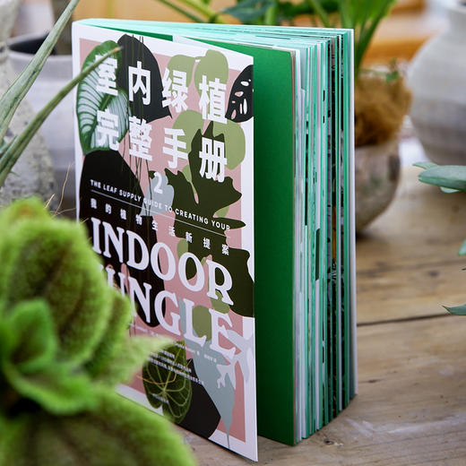 室内绿植完整手册2劳伦卡米雷利 索菲娅卡普兰 著 养花书籍 植物小白 打造自己的植物风格 时尚生活家居设计Ins风 中信 商品图3