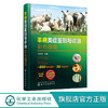正版 羊病类症鉴别与诊治彩色图谱 羊常见病病例分析诊断 羊类生 商品缩略图0