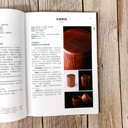 世界木材图鉴 289种木材识别与应用宝典 日本木工艺家作品集 木材 商品图3