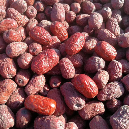 新疆若羌灰枣500g 商品图1