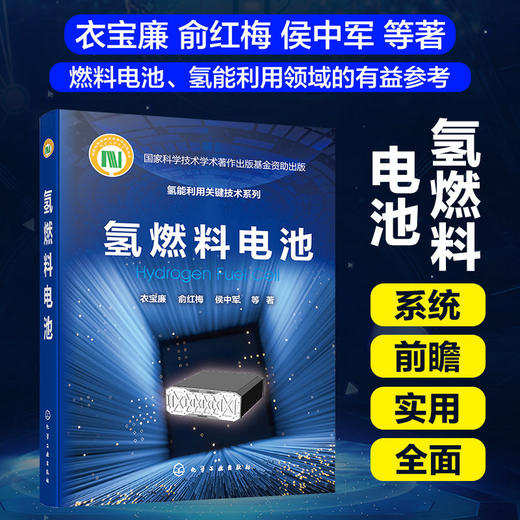 氢能利用关键技术系列 氢燃料电池 燃料电池催化剂 燃料电池基础 商品图4