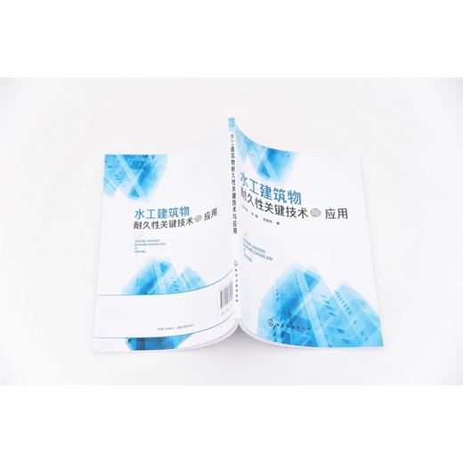 水工建筑物耐久性关键技术与应用 商品图2