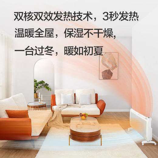 Bestherm百斯腾对流透射式全屋取暖器家用智能静音电暖气2021新款 商品图4