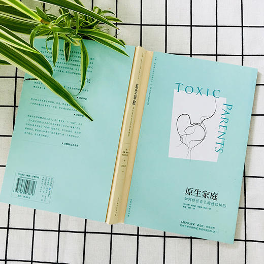 樊登读书会 原生家庭:如何修补自己的性格缺陷 苏珊·福沃德经典著作《中毒的父母》武志红作序 商品图2