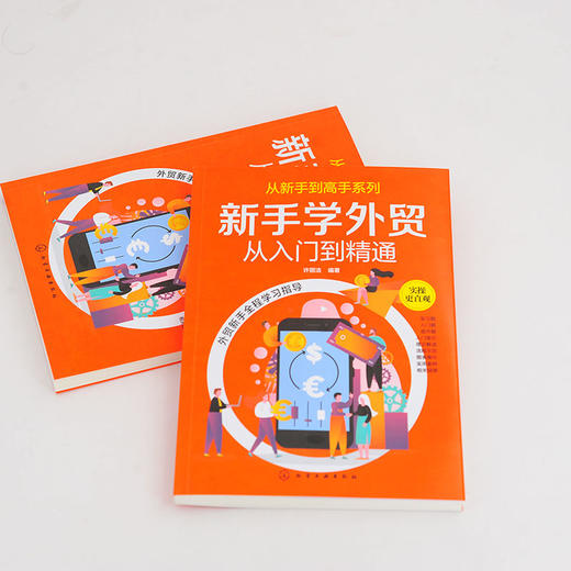 从新手到高手系列 新手学外贸从入门到精通 许丽洁 商品图1