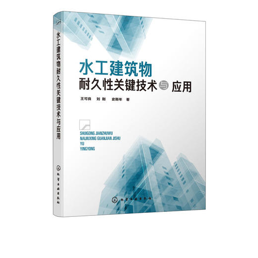 水工建筑物耐久性关键技术与应用 商品图4