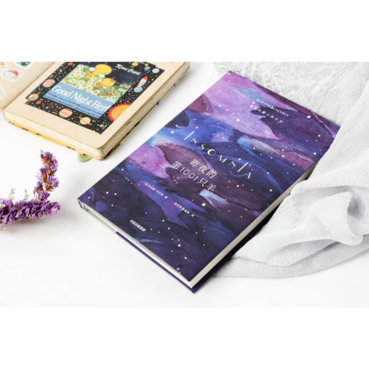 昨夜的1001只羊 献给失眠人的小书  玛丽娜本杰明著 写尽你在夜里辗转反侧又无从表达的感受 散文集 中信出版 商品图3