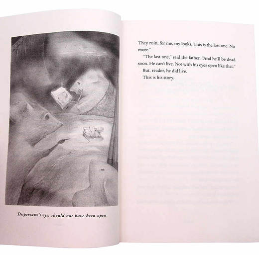 浪漫鼠德佩罗 英文原版小说 The Tale of Despereaux 双鼠记 纽伯瑞儿童文学奖金奖 英文版青少年英语课外读物 商品图1