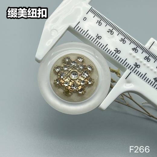 F266(整包购买) 商品图5