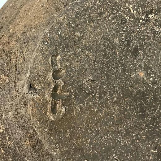 日本备前烧酒具套装 2件装 原木盒保留 实物见视频 商品图4