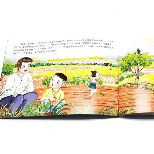 我们的传统节日端午节春节清明节传统文化启蒙认知儿童图书绘本 商品图7