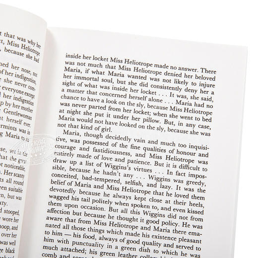 【中商原版】古堡里的月亮公主 豆瓣高分 英文原版 The little white horse 外国文学 奇幻 小说 Elizabeth Goudge 商品图3