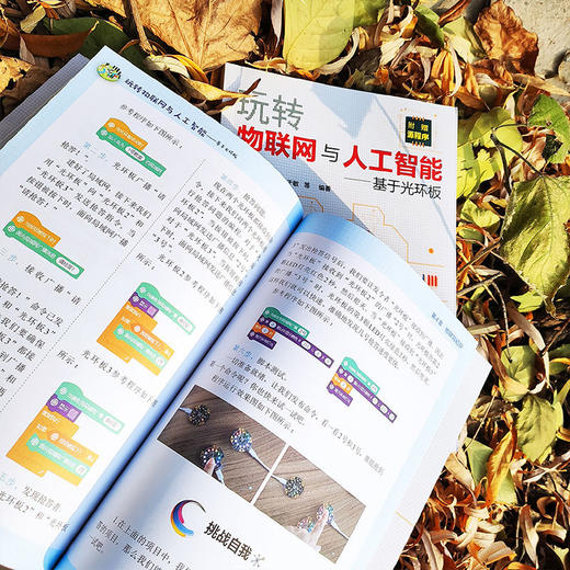 玩转物联网与人工智能 基于光环板 王克伟 商品图2