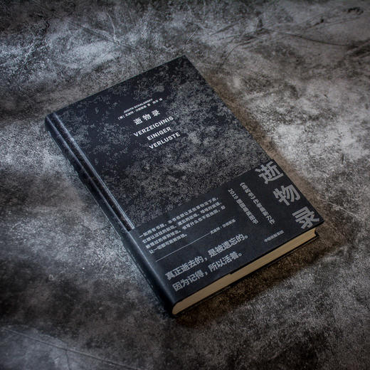 逝物录 尤迪特沙朗斯基著 岛屿书 人类文明 得与失 人类遗失的记忆 历史文献 生命的意义中信出版社图书 正版 商品图1