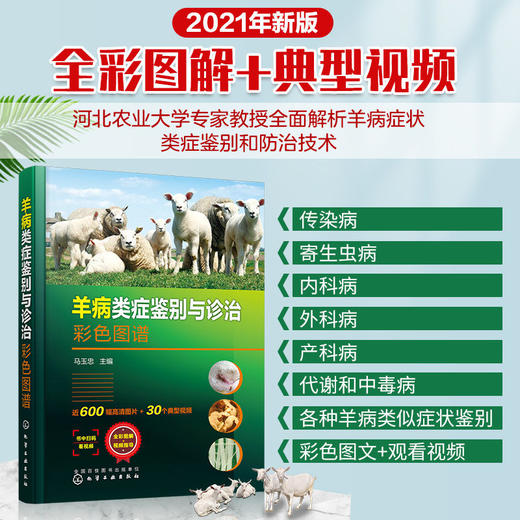 正版 羊病类症鉴别与诊治彩色图谱 羊常见病病例分析诊断 羊类生 商品图1