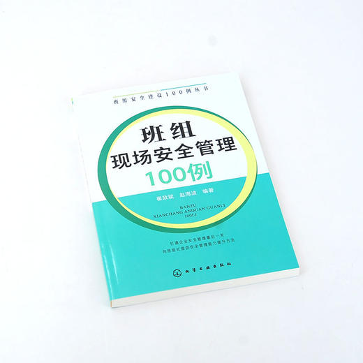 班组安全建设100例丛书 班组现场安全管理100例 班组长管理书籍 商品图1