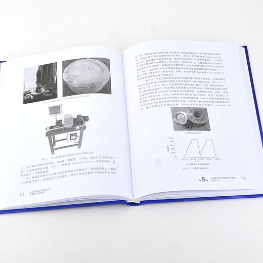 正版 水泥基材料中氯离子的传输及相互作用 水泥混凝土材料 钢筋 商品图3