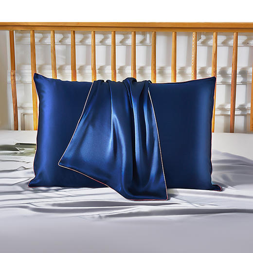 太湖雪真丝枕套19姆米桑蚕丝可水洗枕头套单只 商品图2