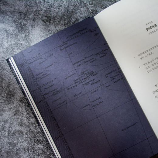 逝物录 尤迪特沙朗斯基著 岛屿书 人类文明 得与失 人类遗失的记忆 历史文献 生命的意义中信出版社图书 正版 商品图3