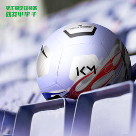 NIKE/耐克姆巴佩配色机缝4/5号训练足球成人男CU8029-569