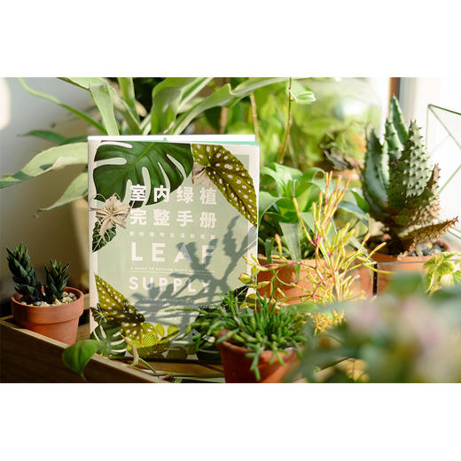 室内绿植完整手册 我的植物生活新提案 劳伦卡米雷利 著 科学养护绿植 塑造空间美学 商品图1