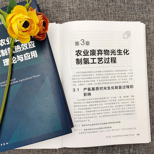 农业废弃物光生化制氢热效应理论与应用 商品图3
