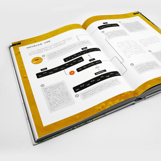 烹饪是什么：用现代科学揭示烹饪的真相 商品图9