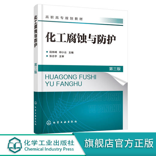 化工腐蚀与防护 第三版 段林峰 金属腐蚀原理腐蚀形式 化工防腐蚀 商品图0