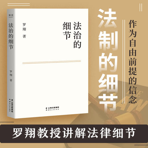 法治的细节 法律男神罗翔教授2021全新法律随笔集 中国政法大学教授解读热点案件 思辨法治要义 商品图2