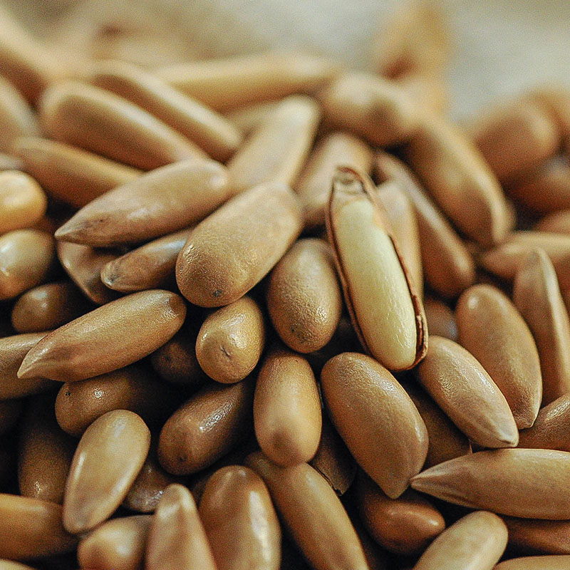 【2025新货！巴西松子】 颗粒饱满，壳薄易剥，粒粒香醇。180克/罐，全场满88元江浙沪皖顺丰包邮~