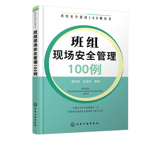 班组安全建设100例丛书 班组现场安全管理100例 班组长管理书籍 商品图4