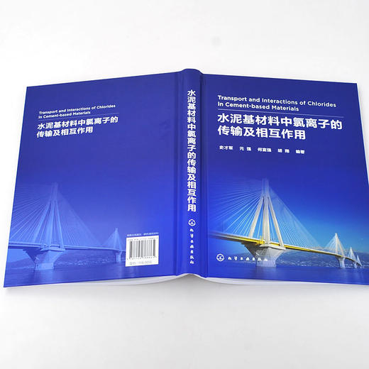 正版 水泥基材料中氯离子的传输及相互作用 水泥混凝土材料 钢筋 商品图2