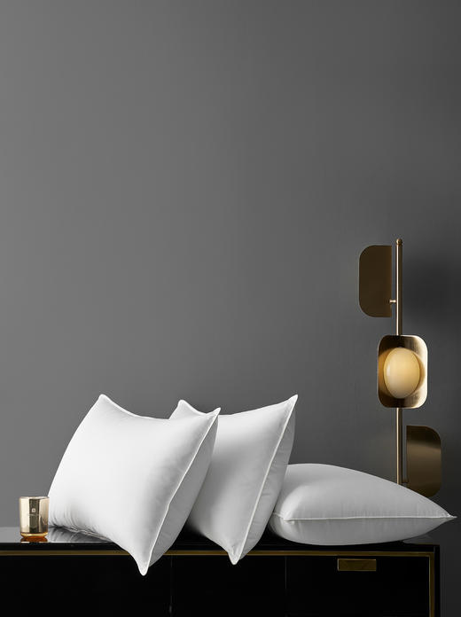 康尔馨 希尔顿总统套房100支95%匈牙利白鹅绒枕 商品图1