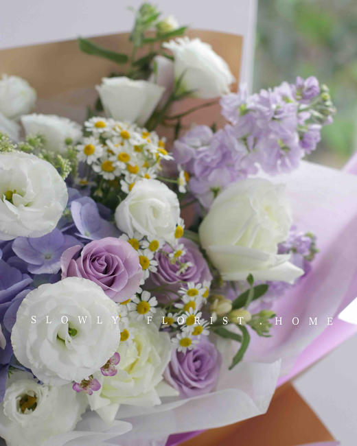 海洋之歌 商品图2