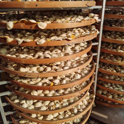 丨生态丨正宗8年新会陈皮 新会核心产区 554项农场零检出 商品图4