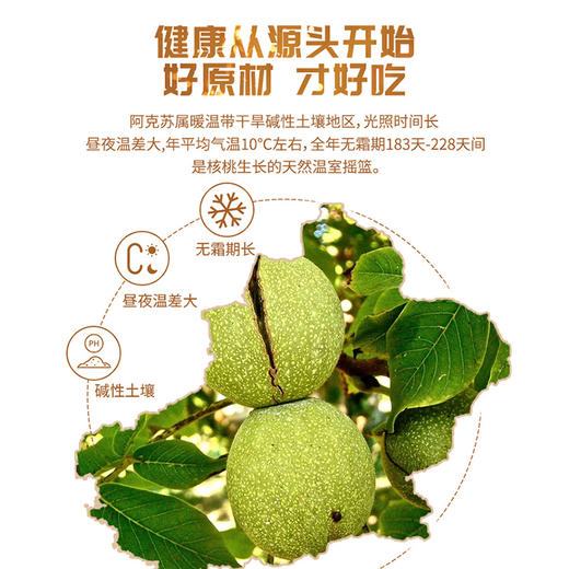 新疆阿克苏185纸皮核桃 草本味 商品图2