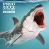 PNSO巨齿鲨巴顿恐龙大王成长陪伴模型15 商品缩略图0