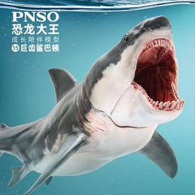 PNSO巨齿鲨巴顿恐龙大王成长陪伴模型15
