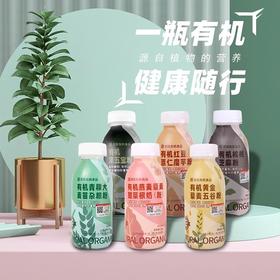 想真有机摇摇乐组合装6种口味 （五谷杂粮粉）