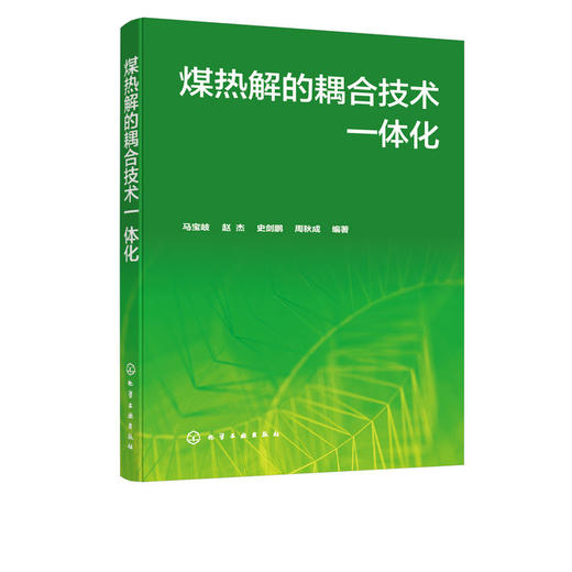 煤热解的耦合技术一体化 煤热解耦合技术一体化基本内涵主要特点 商品图4
