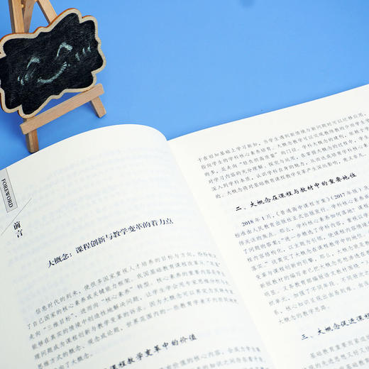 基于大概念的教学设计优化 徐洁 著 大夏书系 教师专业发展 深度学习 素养发展 教师阅读 学生教育 正版 华东师范大学出版社 商品图3