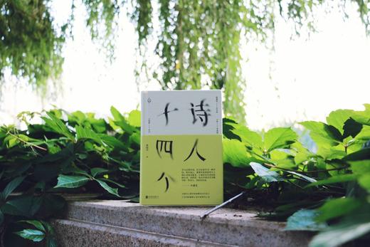 《诗人十四个》文学博士黄晓丹，师从叶嘉莹先生。以古典诗词为媒介，记录漫长青春的冲突与觉悟。 商品图1