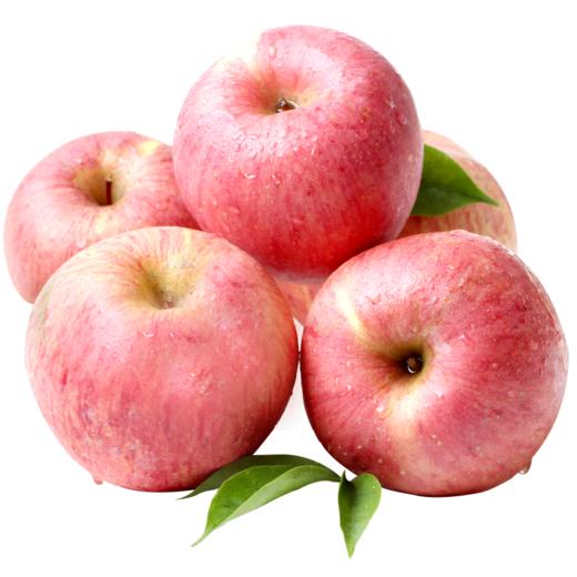 延安苹果红富士24头75果 商品图0